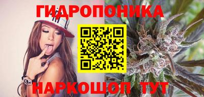 метадон Будённовск